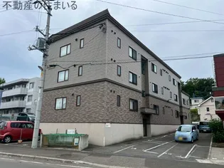 アムールアドニスの画像