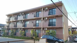 新潟県新潟市西区ときめき東1【マンション】の外観