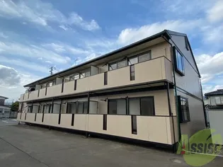 ルミコートTの画像