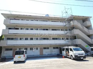 EAGLE MIHOの画像