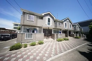 ラフィネ Y Mの画像