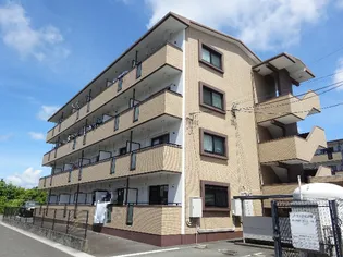 マスカット Sの画像