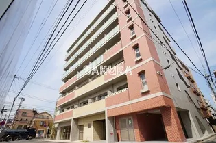 アマリス中原の画像