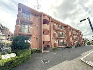 パームスコートの画像