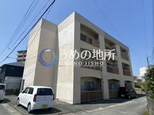 南風荘【1階】の外観