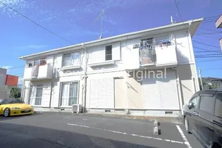 カメリアクールAの画像