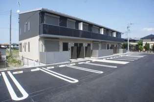 アメイジングソレイユの画像