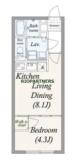 PASEO三軒茶屋II【2階】の間取り