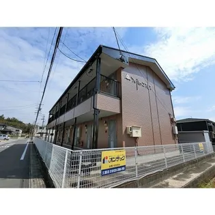 SURPLUSコスモスの画像