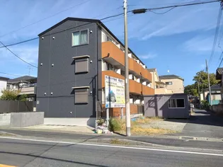 ピアンタ鬼越の画像