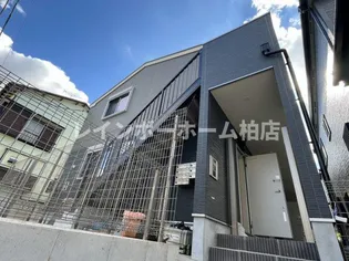 ベルンハルト新松戸【1階】の外観