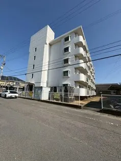 ホープス勝瑞の画像