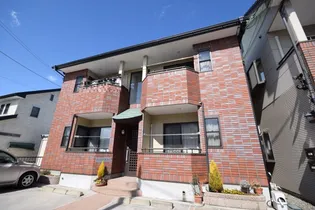 ピュアコートアイの画像