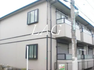 グレースマツミの画像