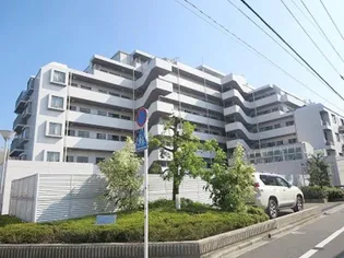 上野毛パーク ホームズ アダージオの画像