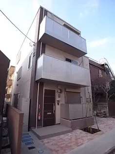 ステラの画像