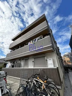 ルリアン大瀬戸の画像
