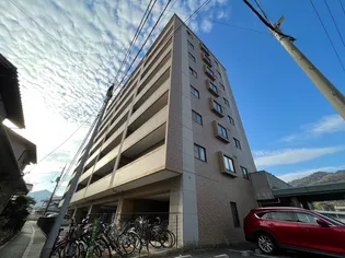 グレイスカワイIIの画像