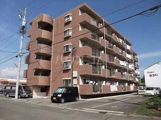 マンションマスカットの画像