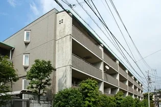 ステラメゾン下北沢【1階】の外観