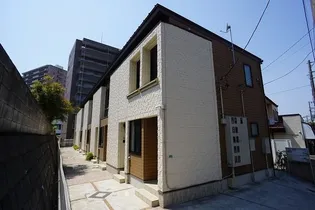 ルピナス VIIIの画像