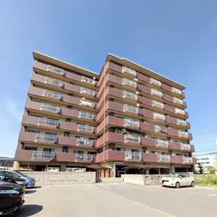 真締川ハイツ【4階】の外観