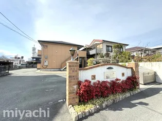 サン ガーデンの画像