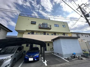 ライトバードの画像