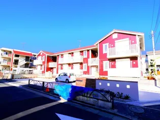 アンジェリカの画像