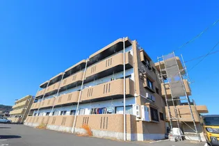 アムール アドニスの画像