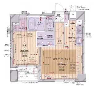 グラーサ本郷東大前【10階】の間取り