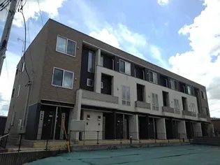 プラシードの画像