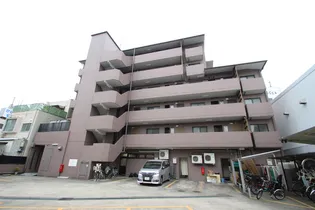 シャンボール近藤の画像