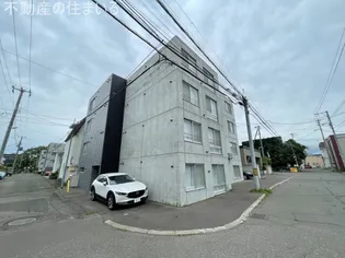 CURTIS SUMIKAWAの画像