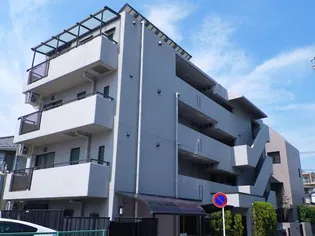 アイビー菅沢の画像