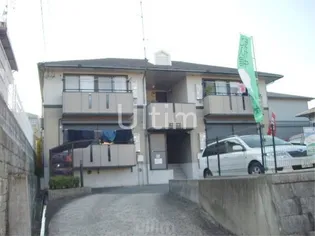 ハイカムール八科の画像