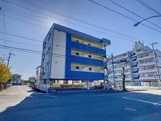 アゼリア南国の画像