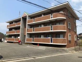 GRACEエヌエスの画像