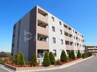 サンウインドの画像