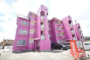 徳島県阿南市見能林町念仏免【マンション】の外観