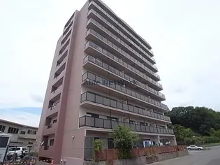 キャッスルハイツ上土居の画像