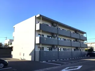 SILVER FERNの画像