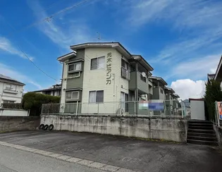 元木ビアンカの画像