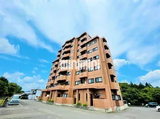 フラワータウンの画像