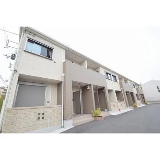 アムールフェリオの画像