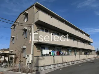 ロイヤルオークの画像