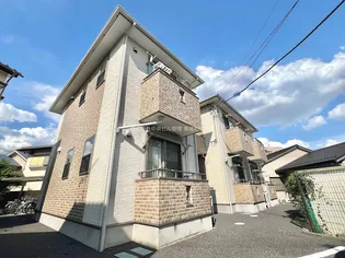デイジーの画像