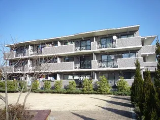 ヴェルディ羽川C館【1階】の外観