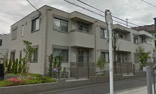 クロープ辛夷の画像