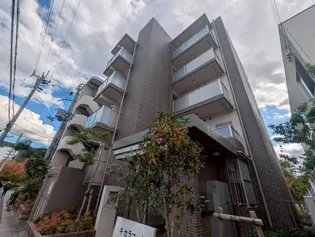 キセラコートWAKOの画像